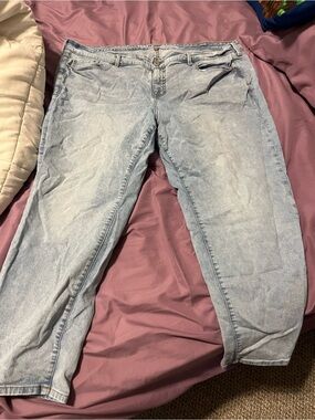 Crown and Ivy, Torrid, Lane Bryant NAME BRAND Plus size jeans 24W